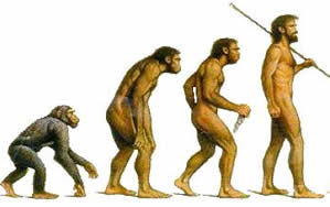 A Evoluçao do Homem