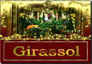 O Girassol sabe escolher seu lado e você - Foco em sua Profissão
